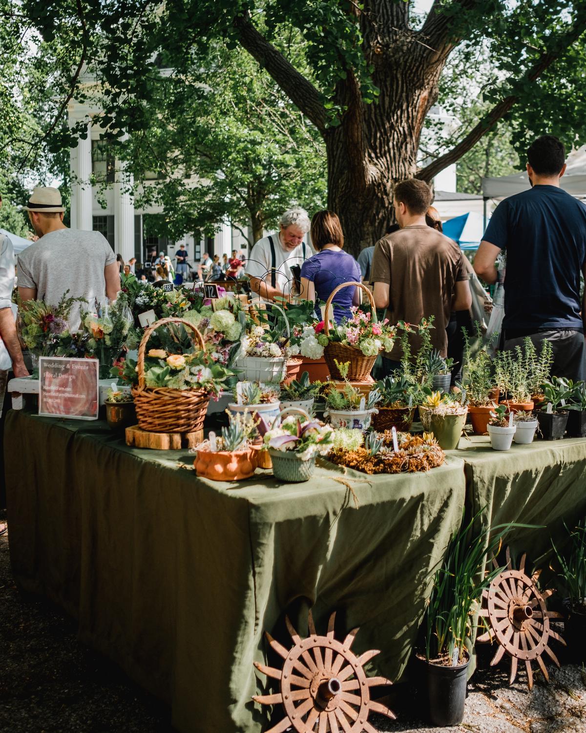 An image of a vibrant farmers' market bustling with activities, shoppers looking over farm stands, and vendors selling different types of produce.
