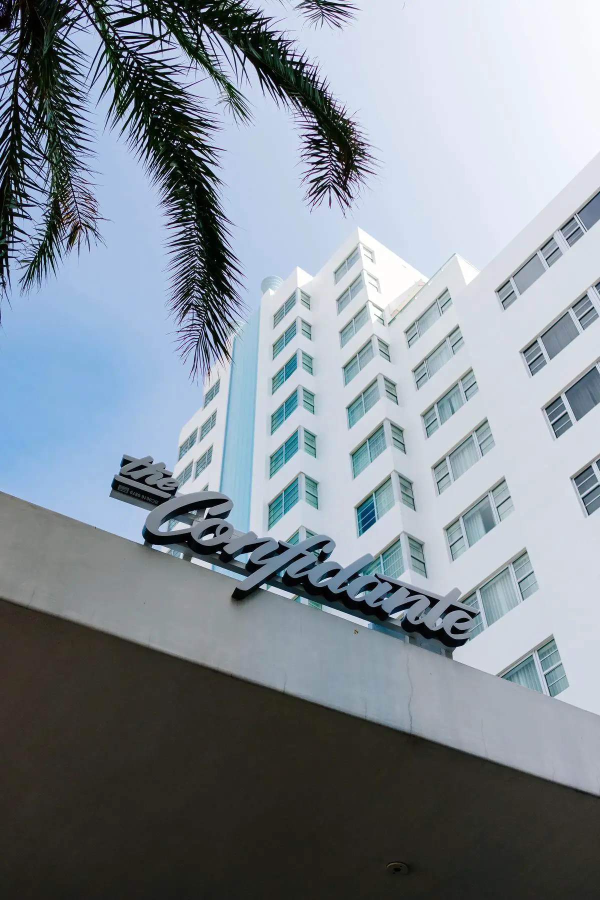 A photo of Kimpton Hotel Palomar San Diego, showcasing the building's exterior with palm trees in front and the name written in large letters.