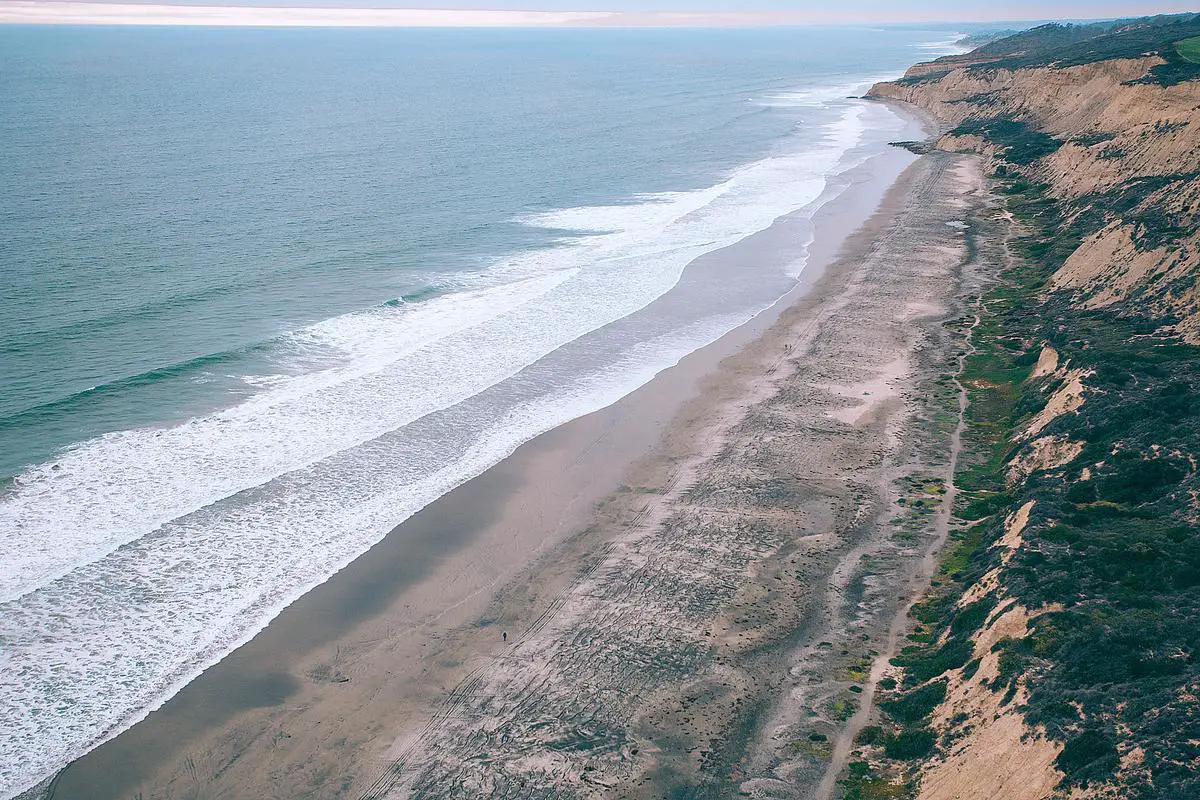 A picture of Torrey Pines State Reserve showing the coastal wilderness and the natural beauty of the place.