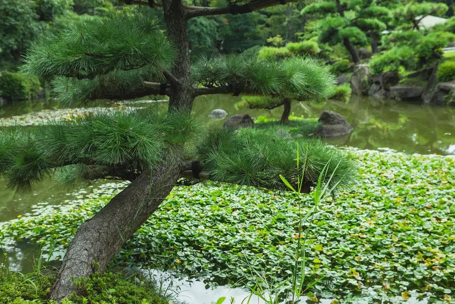 A picture of a serene Japanese garden with a pond, several trees, and a small bridge.