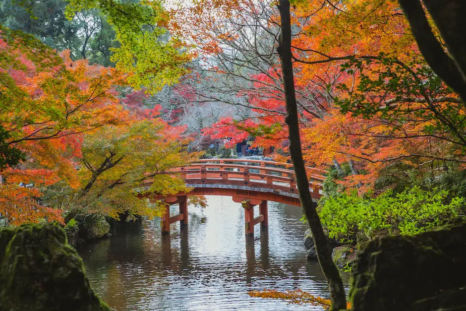 The image shows a beautiful Japanese garden with a traditional bridge and Koi fish swimming in the pond.”