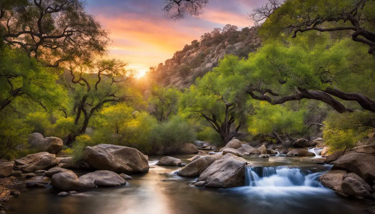 A serene image of Oak Canyon Nature Center encapsulating its natural beauty and tranquility.